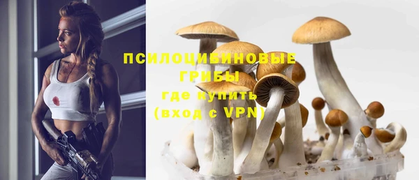 мескалин Гусь-Хрустальный