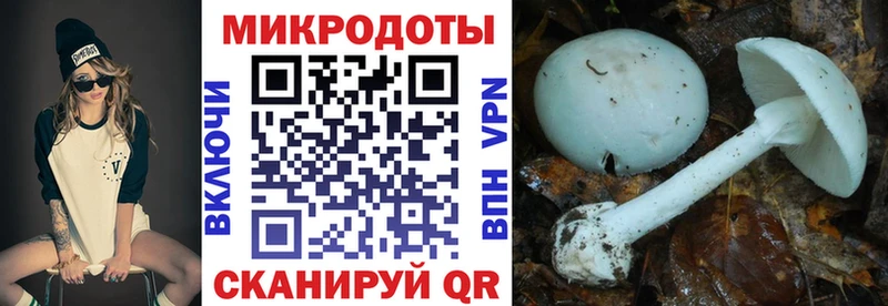 Псилоцибиновые грибы MAGIC MUSHROOMS  Калуга 